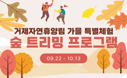 등록된 사진이 없습니다