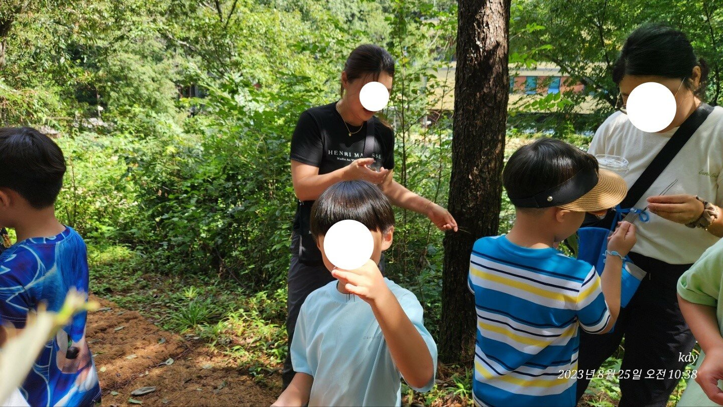 등록된 사진이 없습니다