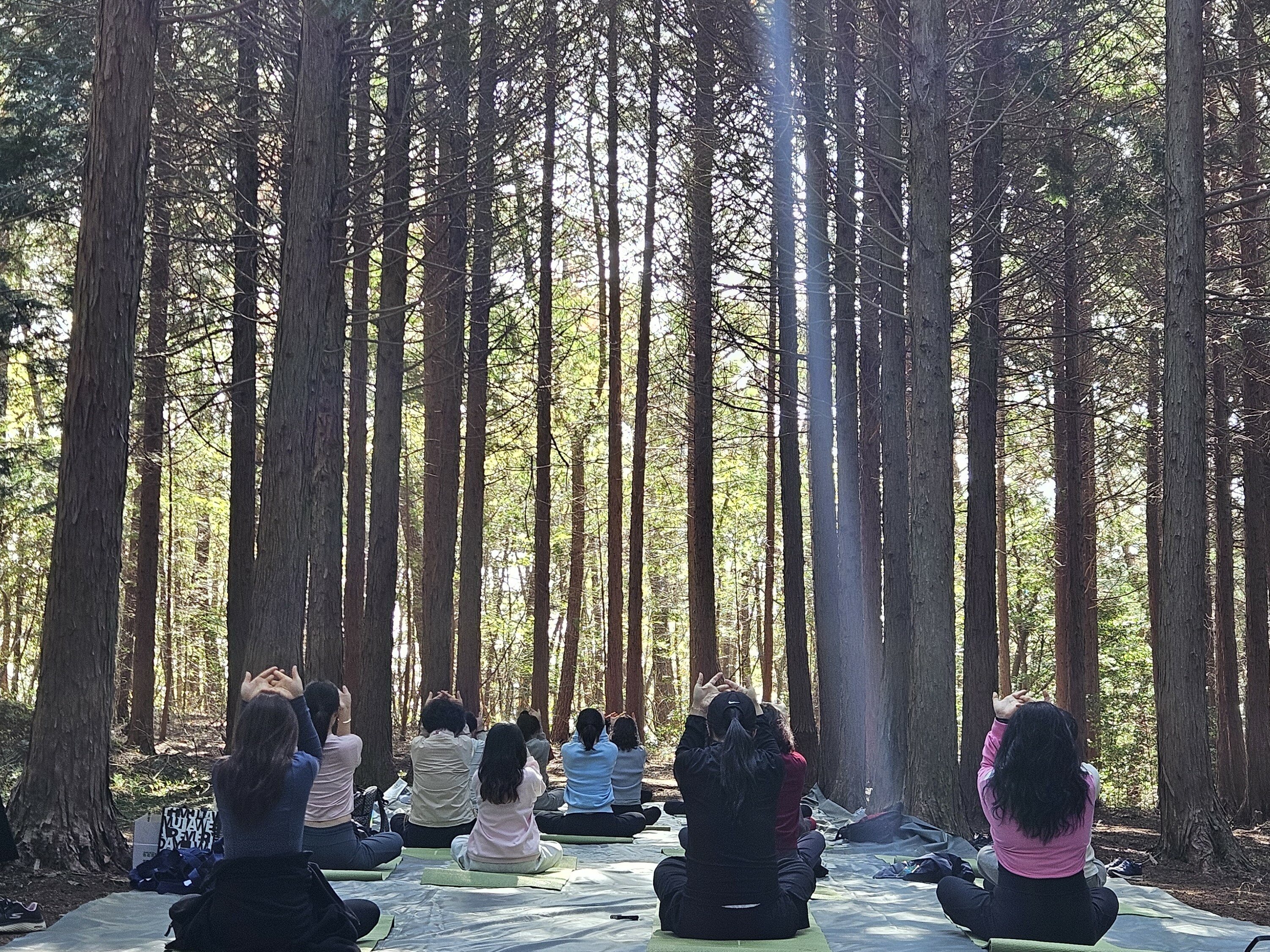 등록된 사진이 없습니다
