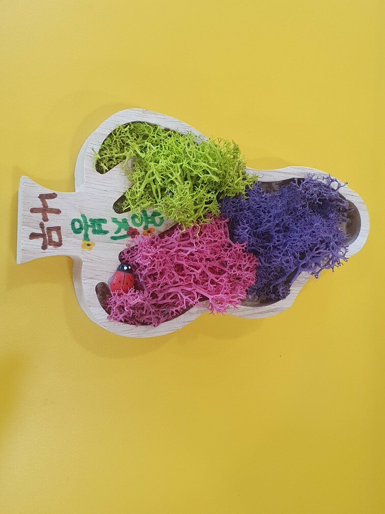 등록된 사진이 없습니다