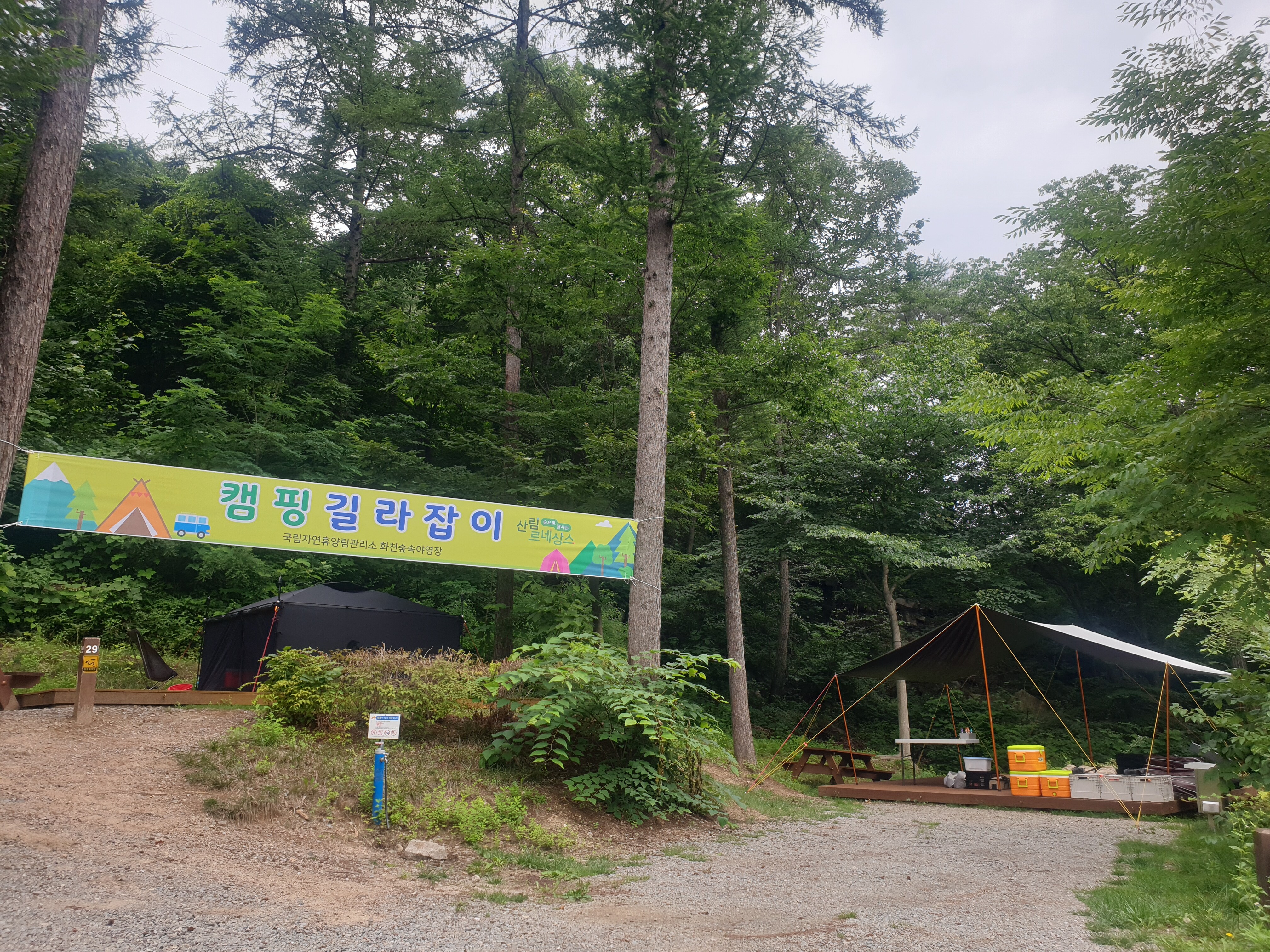 등록된 사진이 없습니다