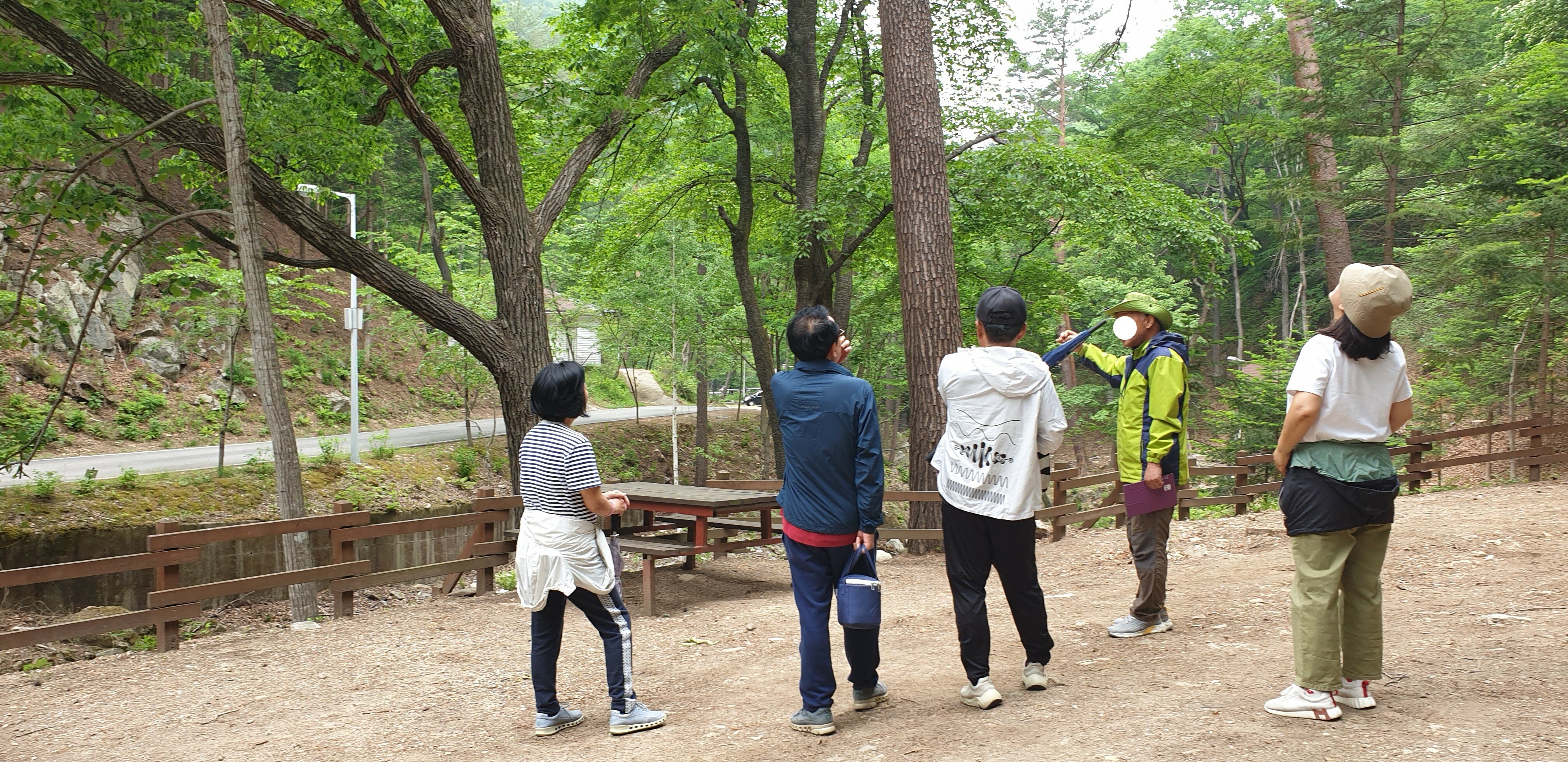 산림청 국립통고산자연휴양림 - |