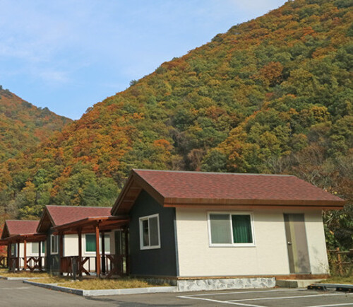 (인제군)용대자연휴양림