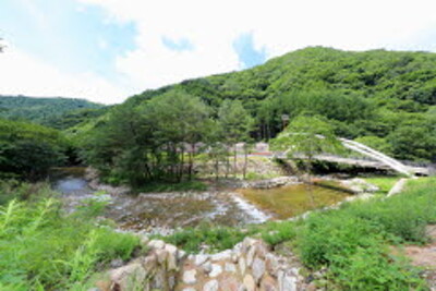 남전약수