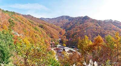 영국사(영동)