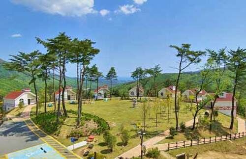 (기장군)달음산자연휴양림