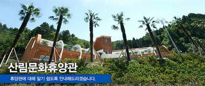 돌산 평사리 고니도래지