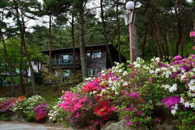 흥부마을(출생지)