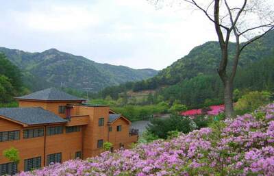 완주상관편백숲