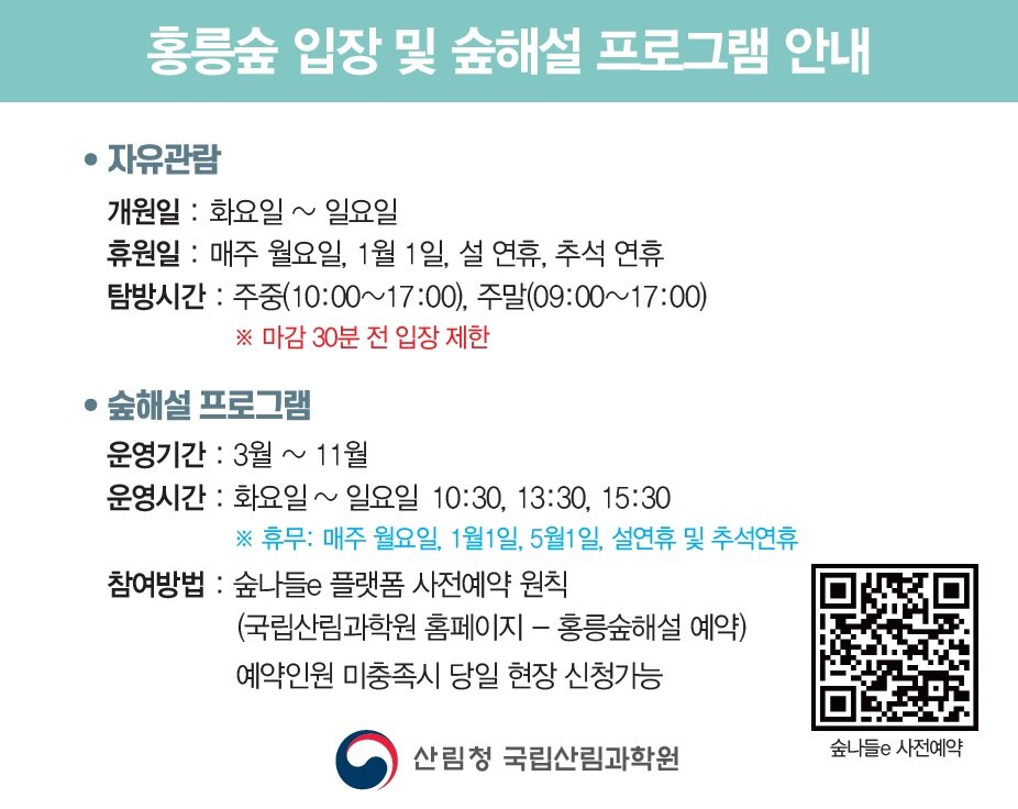 지식의숲