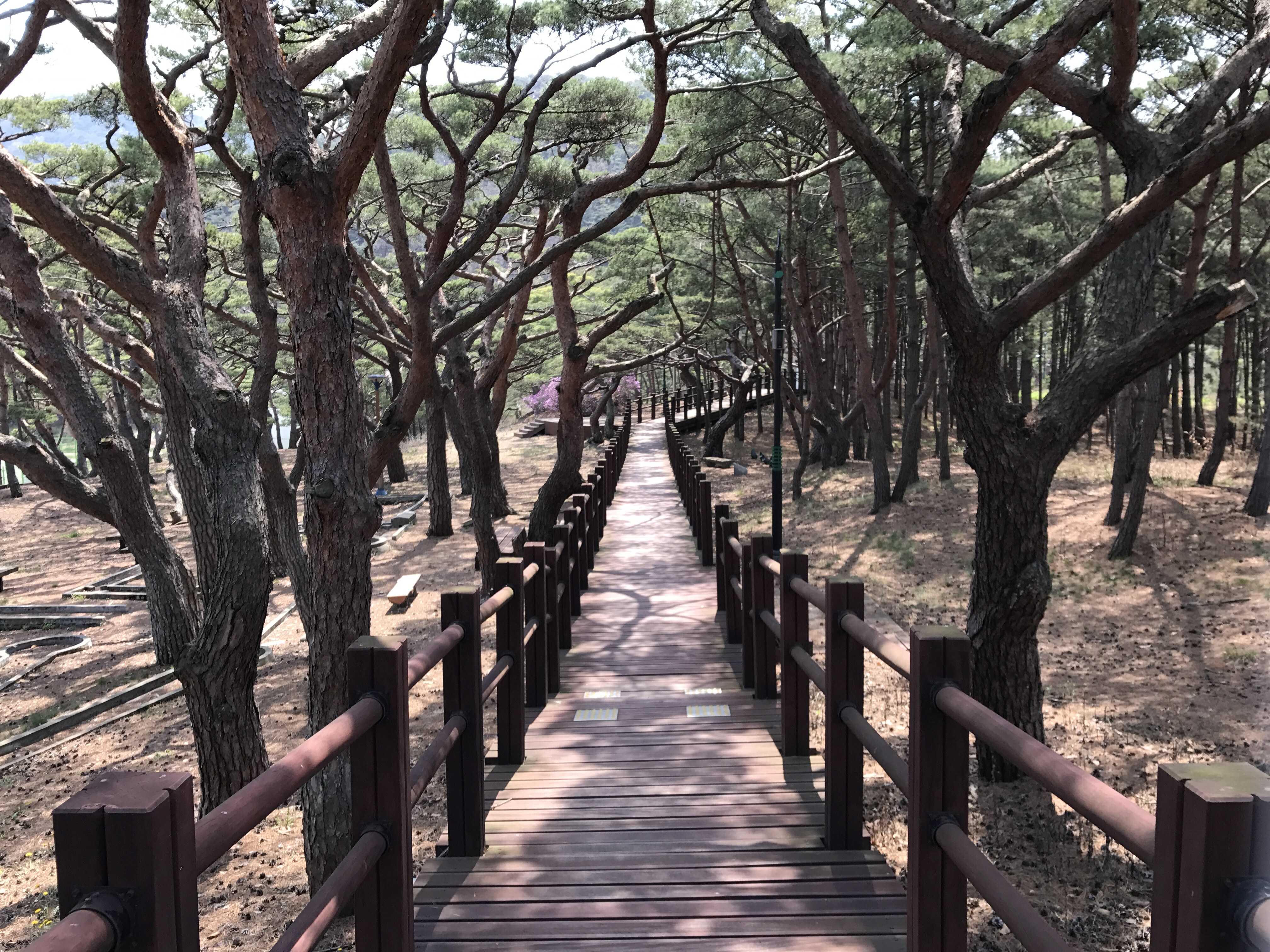 서포리웰빙삼림욕산책로