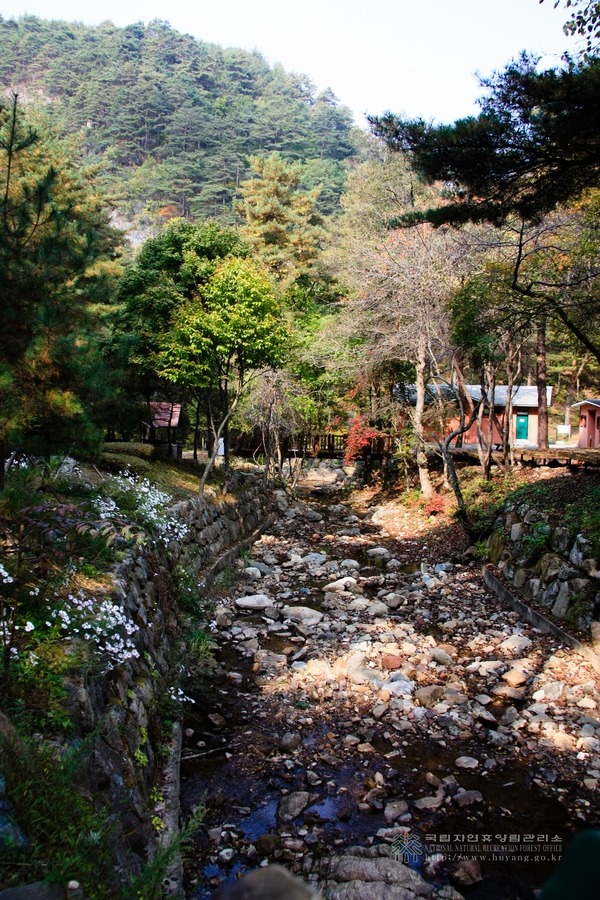 산림청 국립검마산자연휴양림 - |