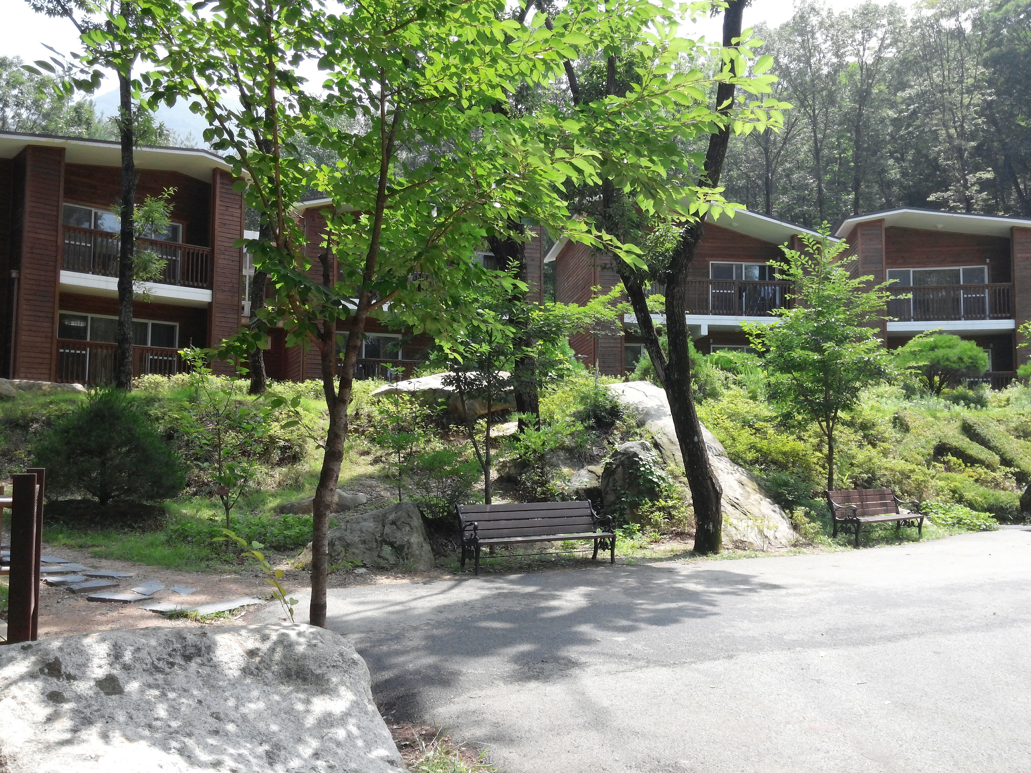 산림청 국립대야산자연휴양림 - |