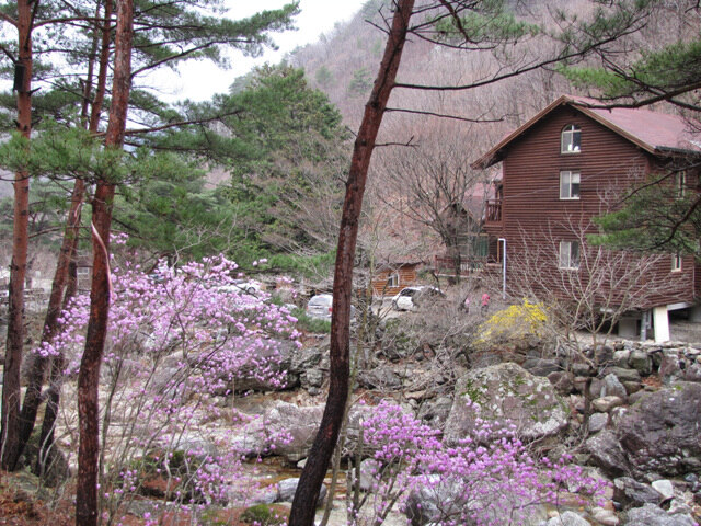 산림청 국립신불산폭포자연휴양림 - |