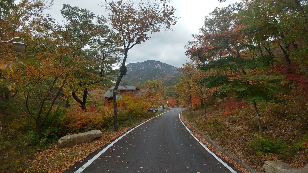 가을 연립동, 도로 풍경