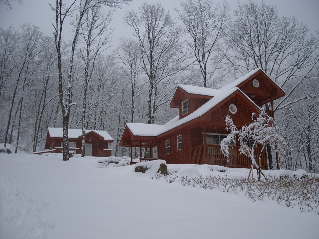 숲속의집 겨울 풍경