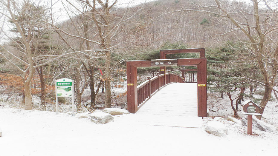 산림청 국립용현자연휴양림 - |