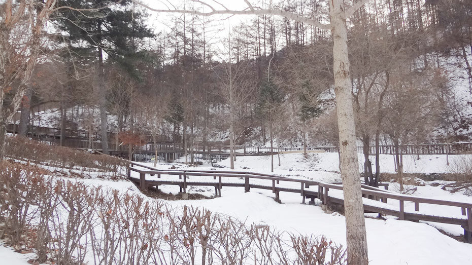 산림청 국립유명산자연휴양림 - |