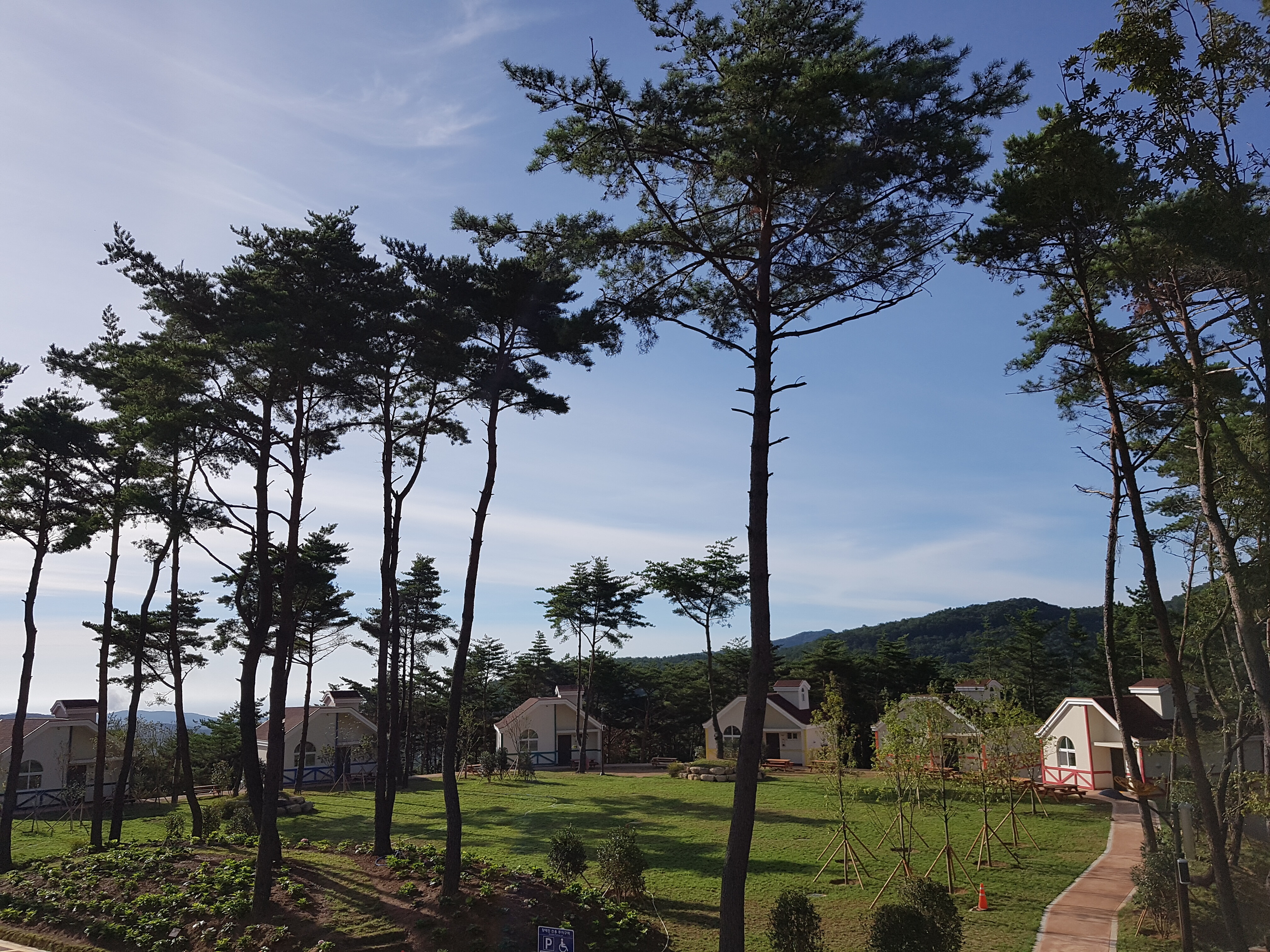 산림청 국립달음산자연휴양림 - |