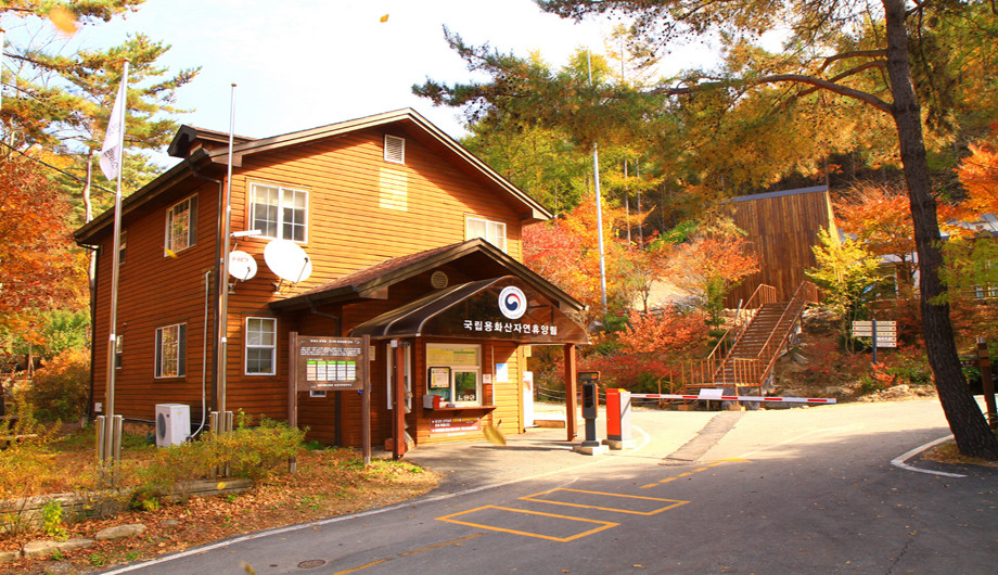 산림청 국립용화산자연휴양림 - |